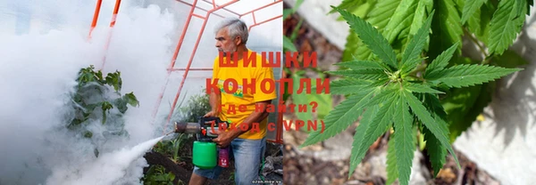 тгк Аркадак
