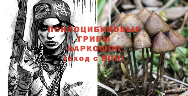 тгк Аркадак