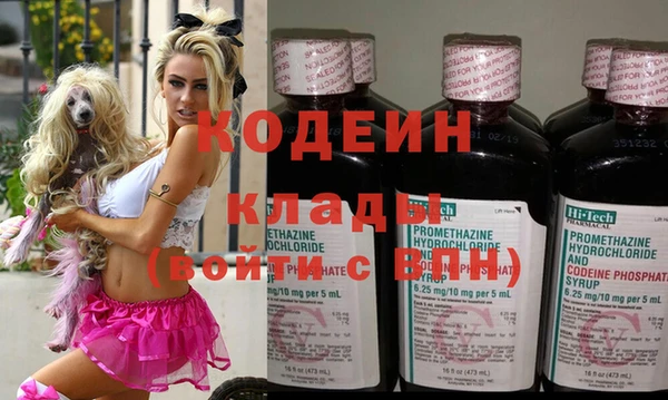 стафф Арсеньев