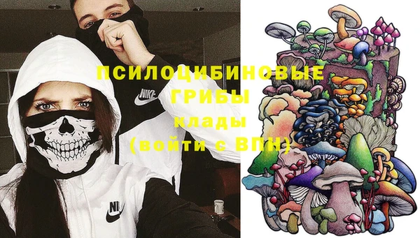 стафф Арсеньев